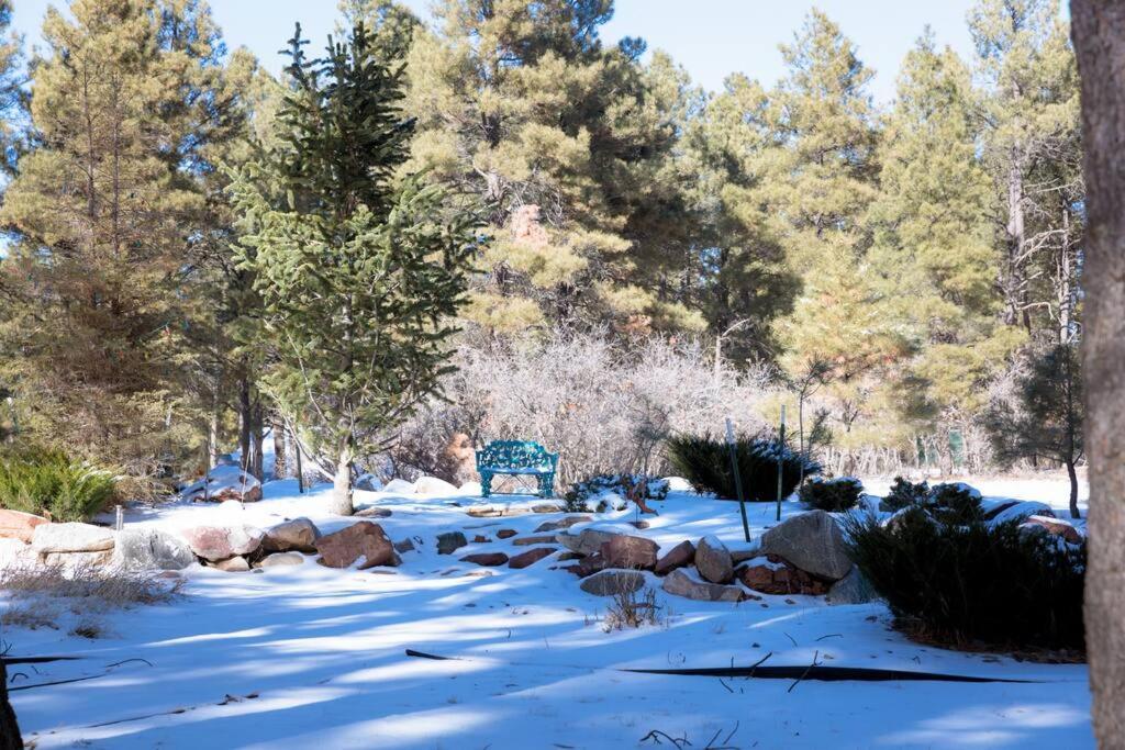 Mountain Home With Hot Tub Pagosa Springs Exterior photo